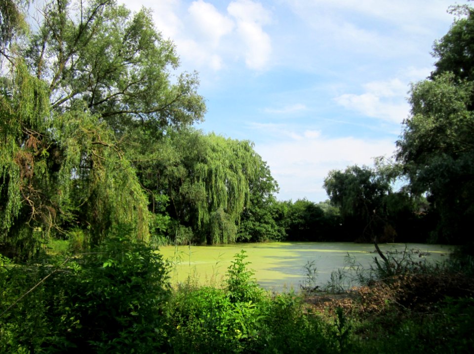 20130709Holzgraben_Ketschau