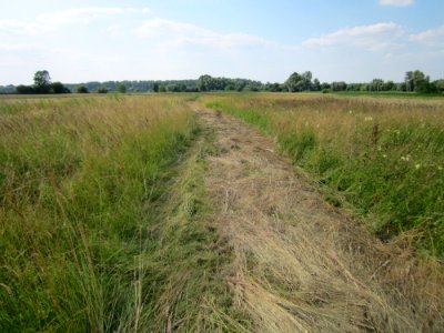 20130709Wiese_Karl-Ludwig-See1