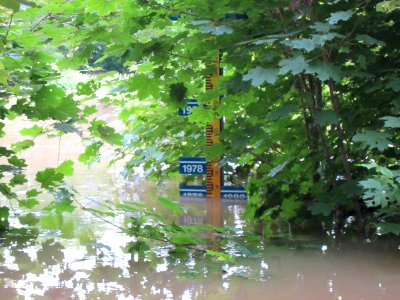 20130603Rheinhochwasser_Altlussheim2