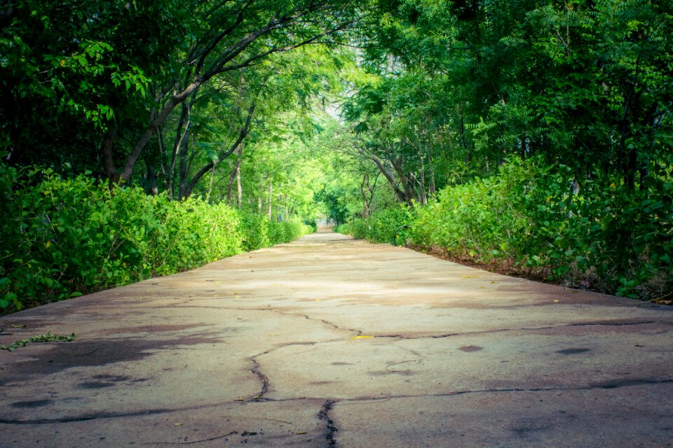 Landscape green outdoor