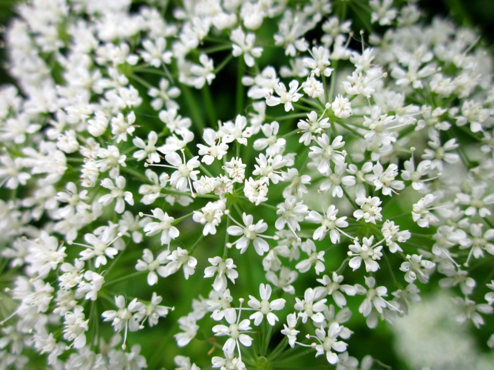20130614Giersch_Marlach3