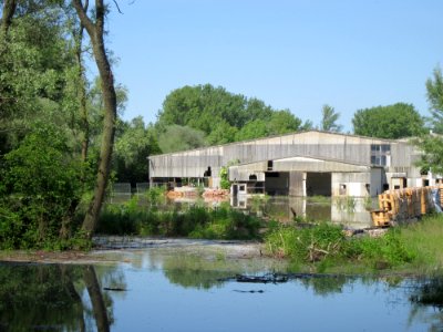 20130604Rheinflut_Herrenteich01