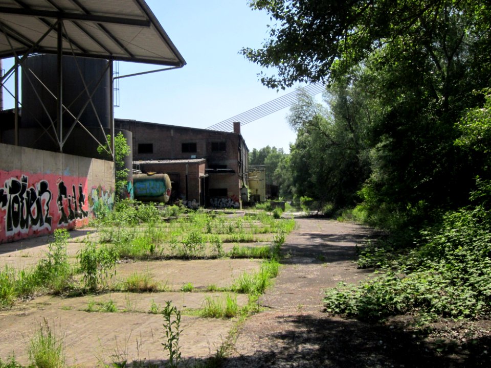 20130604Rheinflut_Herrenteich02