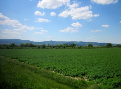 20130606Mussbach
