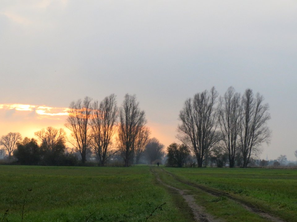 20131201Karl-Ludwig-See6