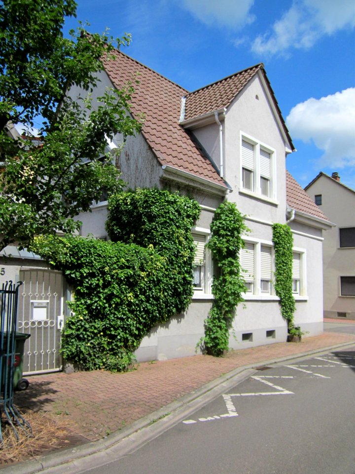 20130614Karl-Theodor-Str5_Hockenheim2
