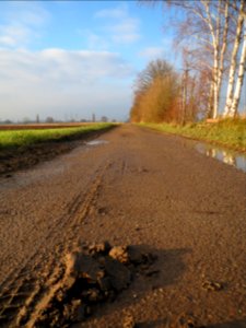 20131201Alter_Kraichbach2