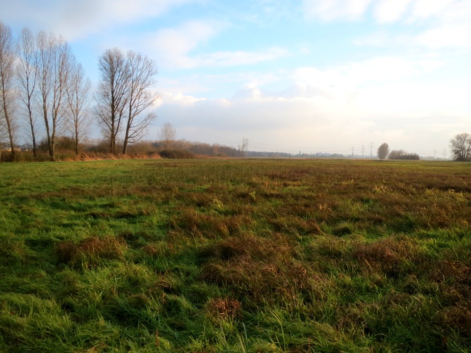 20131201Karl-Ludwig-See4
