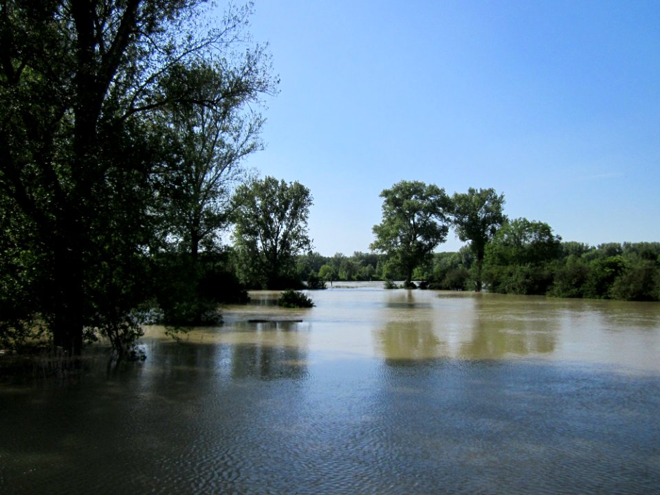 20130604Rheinflut_Herrenteich08