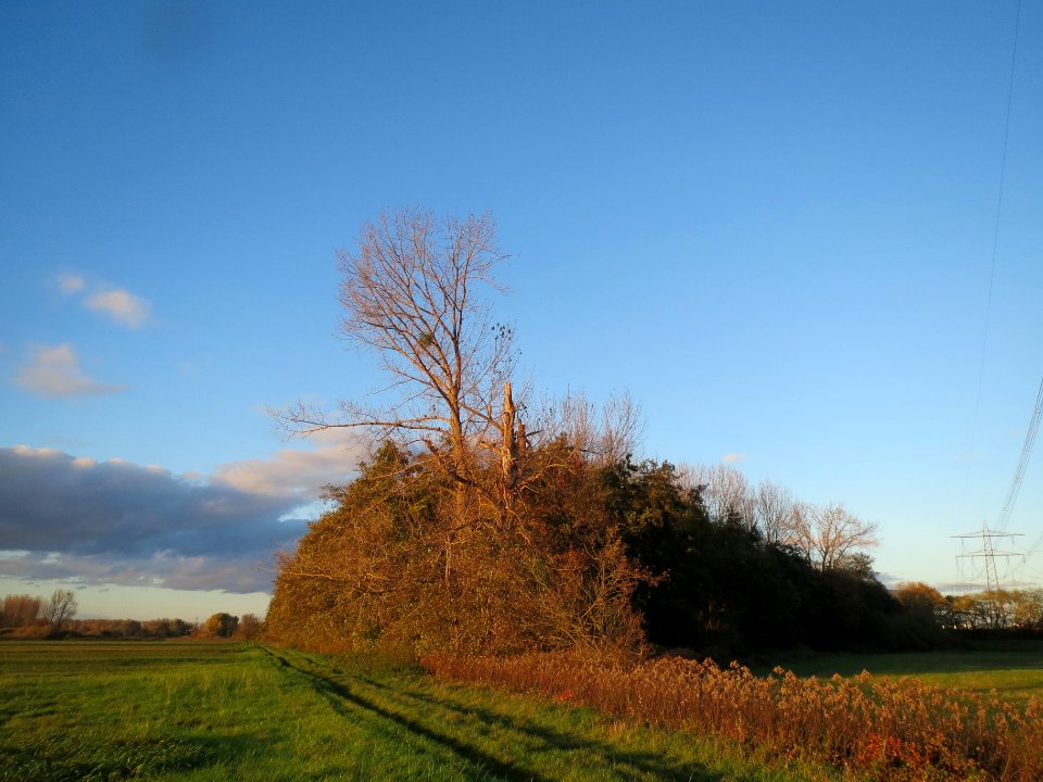 20131109Karl-Ludwig-See14