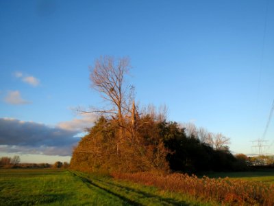 20131109Karl-Ludwig-See14