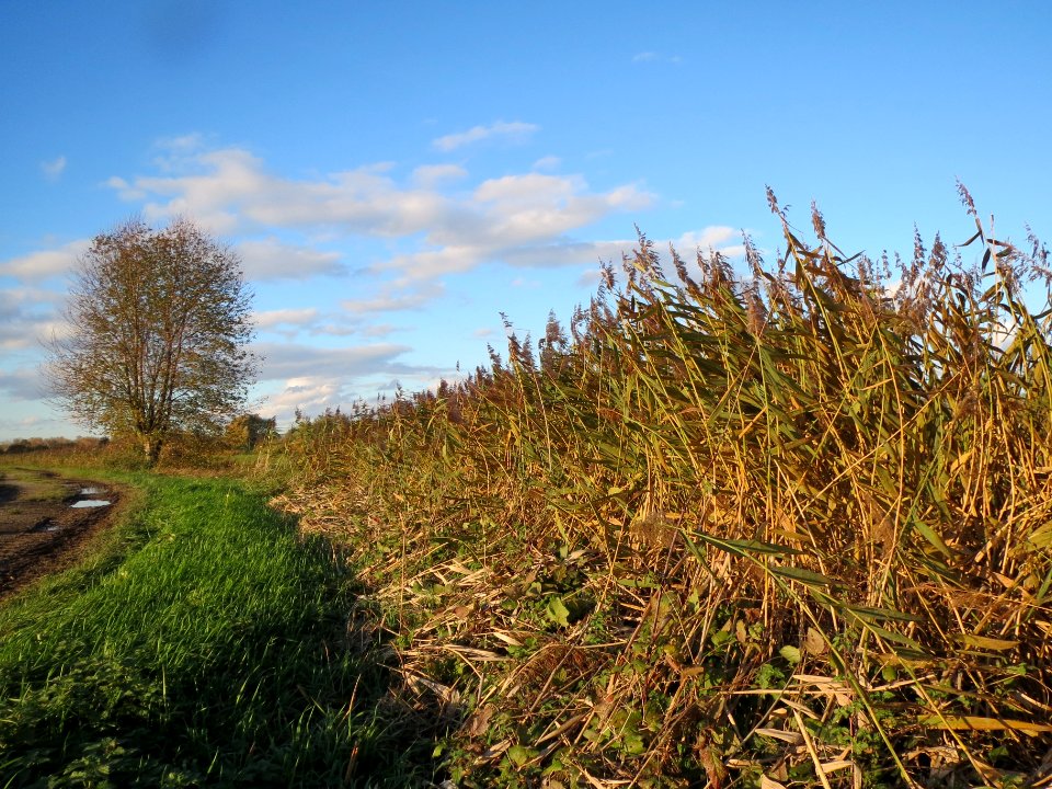 20131109Karl-Ludwig-See11