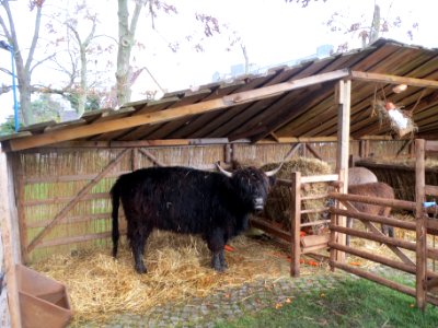 20131130Krippe_Hockenheim5