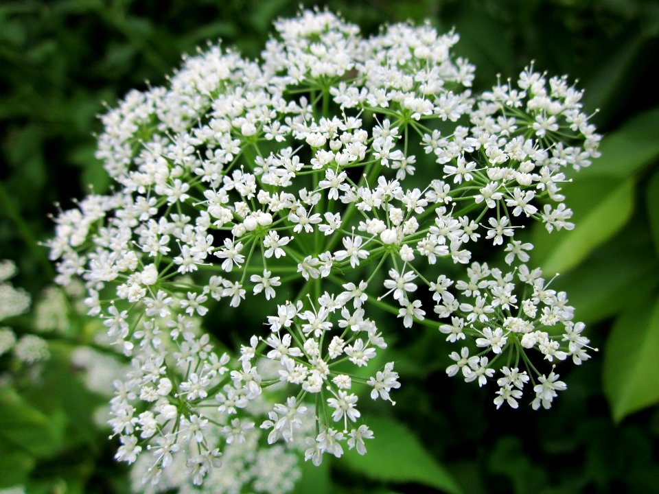 20130614Giersch_Marlach2