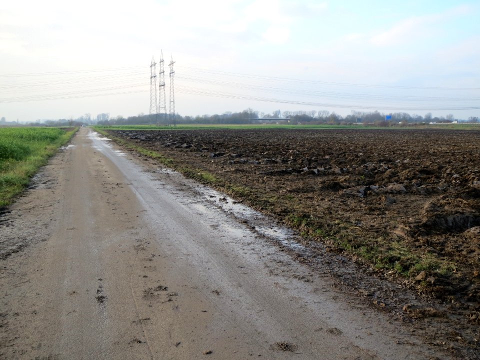 20131201Feldweg_Hockenheim2