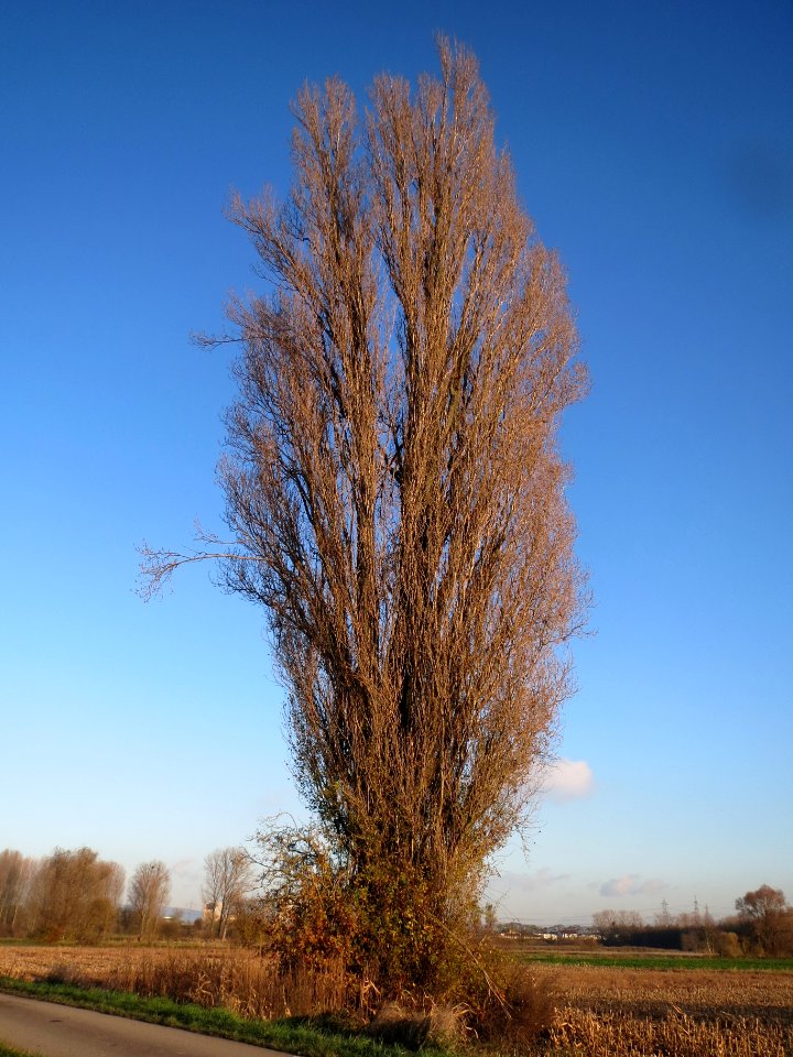 20131126Karl-Ludwig-See12