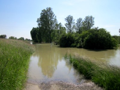 20130604Rheinflut_Herrenteich09
