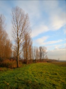 20131201Karl-Ludwig-See3