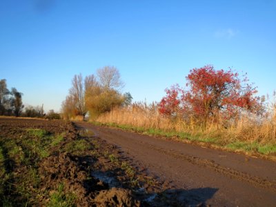 20131126Karl-Ludwig-See06