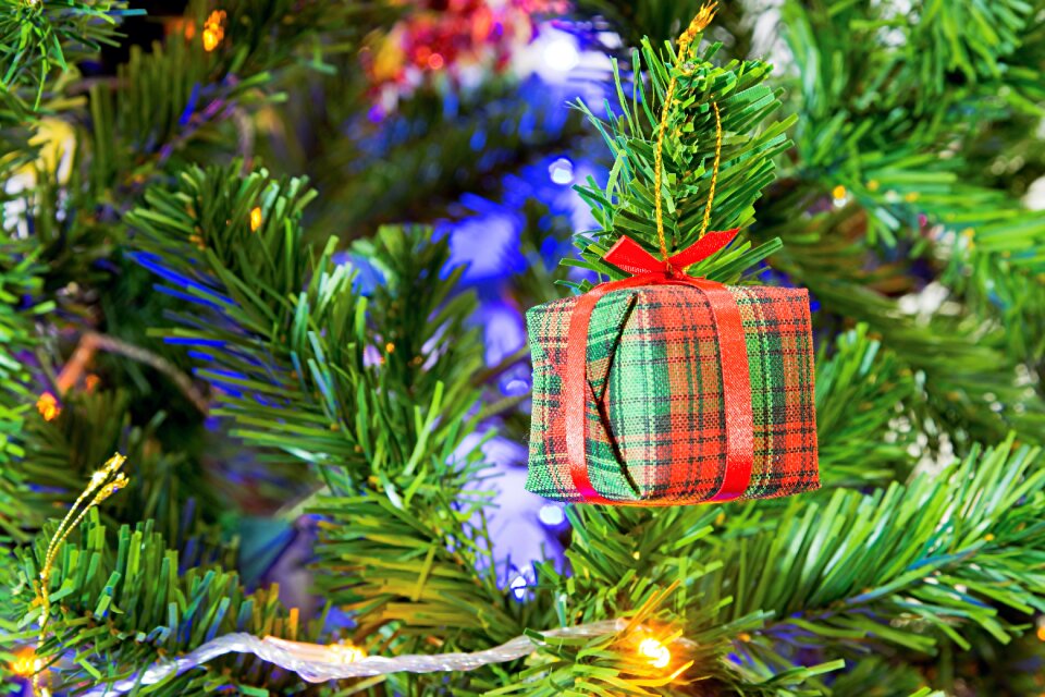 Xmas christmas tree green tree