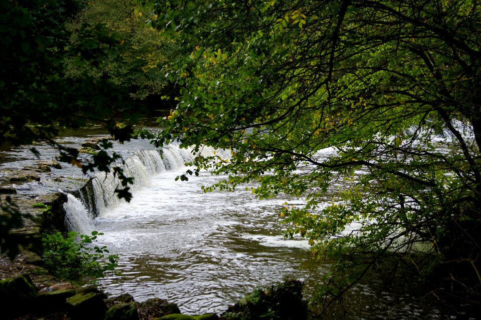 Nature cascade water courses