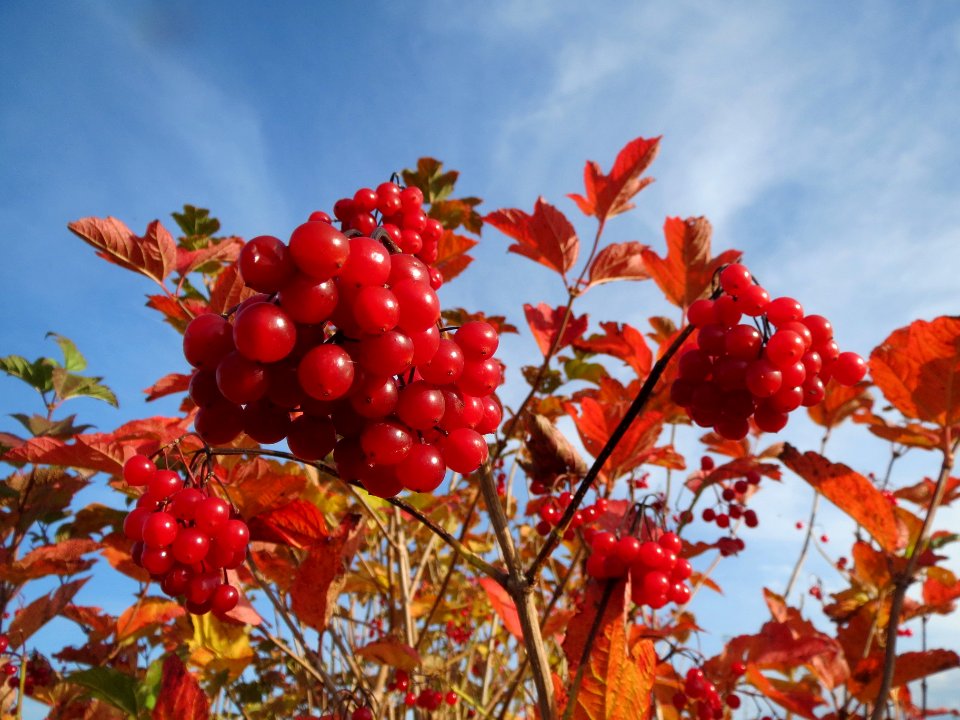 20131022Schneeball