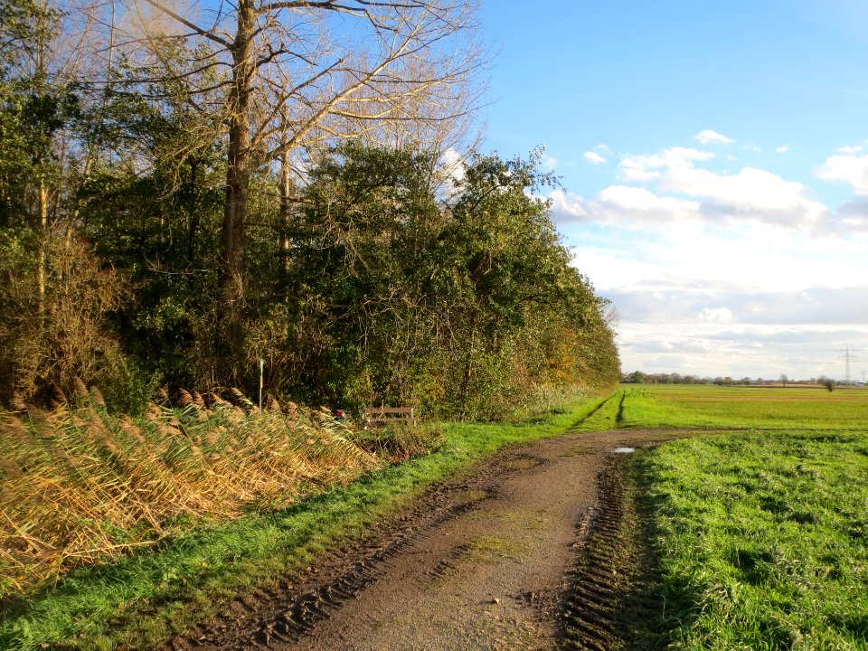 20131109Karl-Ludwig-See07