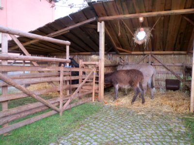 20131130Krippe_Hockenheim4