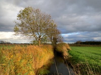 20131103Kotlachgraben