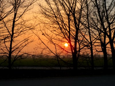 20131127Sonnenuntergang_Reilingen1