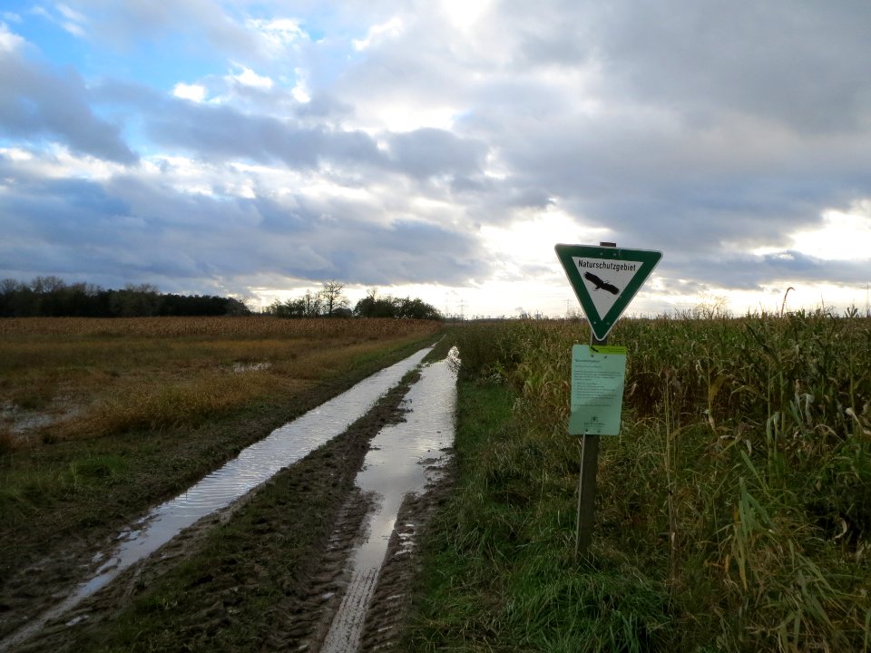 20131103Feldweg