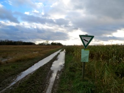 20131103Feldweg