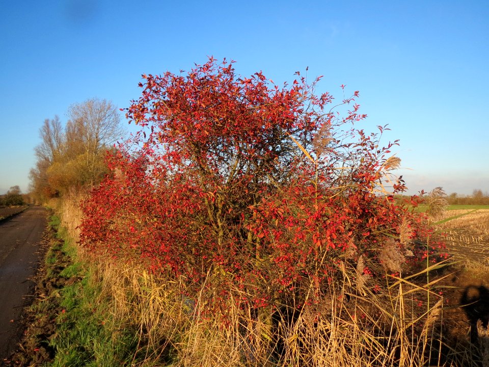 20131126Karl-Ludwig-See07