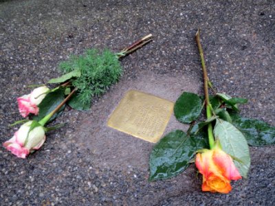 20131108Stolpersteine_Hockenheim6