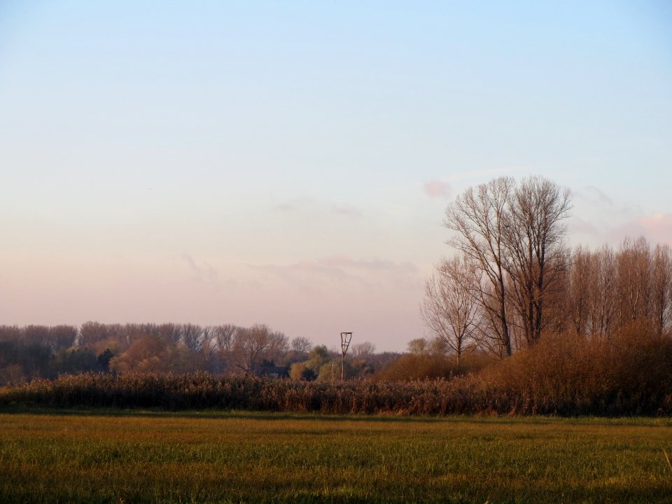 20131126Karl-Ludwig-See15