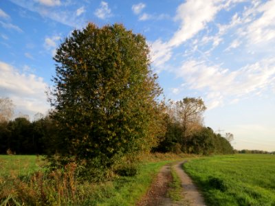 20131022Kirsche_Karl_Ludwig_See1