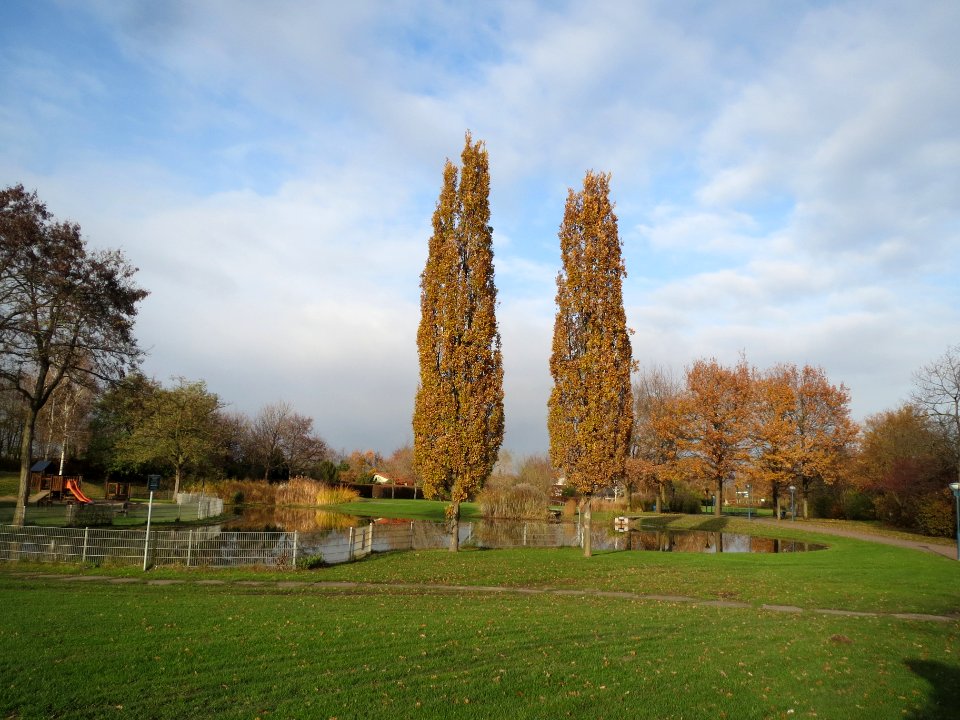 20131125Gartenschaupark_Hockenheim