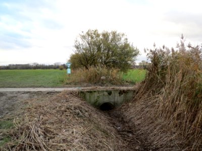 20131124Entwaesserungsgraben3