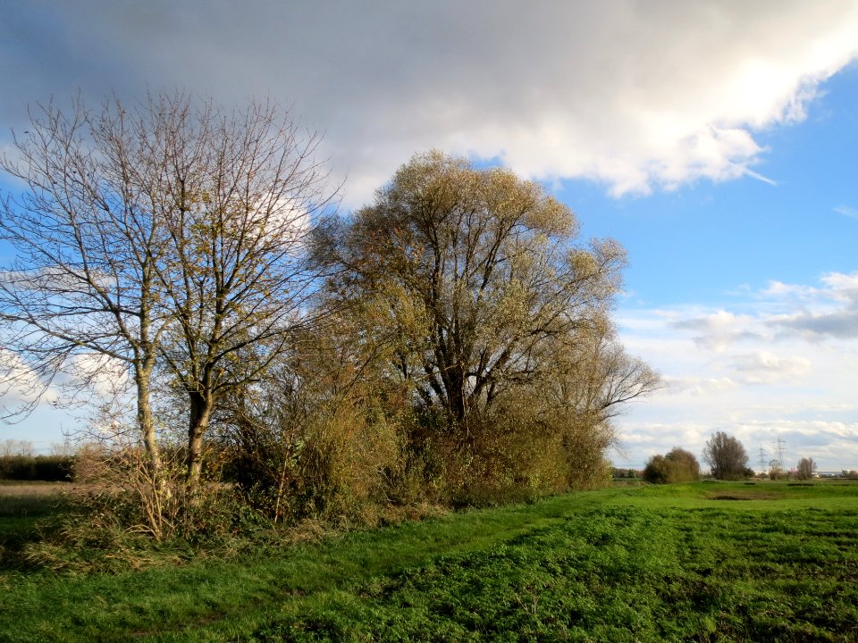 20131109Karl-Ludwig-See01