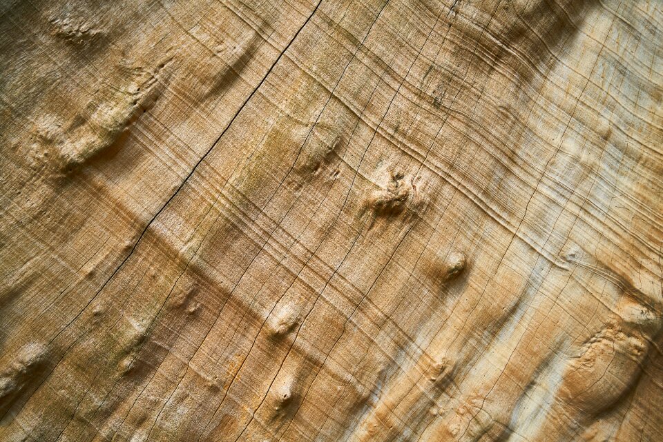 Wood-fibre boards pattern texture