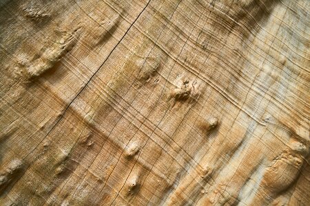 Wood-fibre boards pattern texture photo