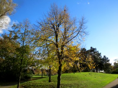 20131109Linde_Hockenheim