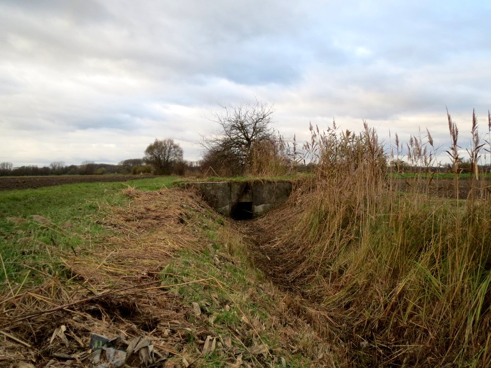 20131124Entwaesserungsgraben2