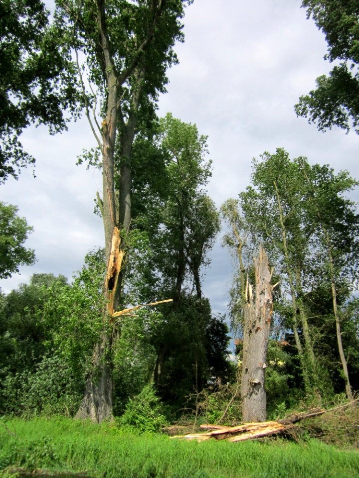20130621Sturmschaden_Krauchbach2