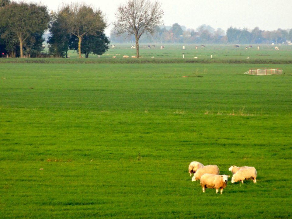 20131022_Polder_Mastenbroek