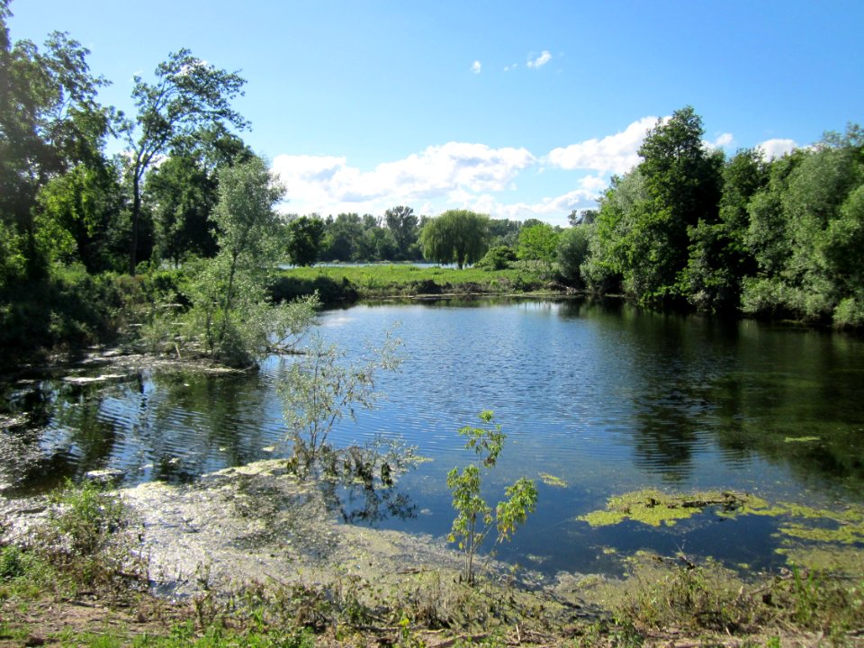 20130623Rueckhaltebecken_Altlussheim