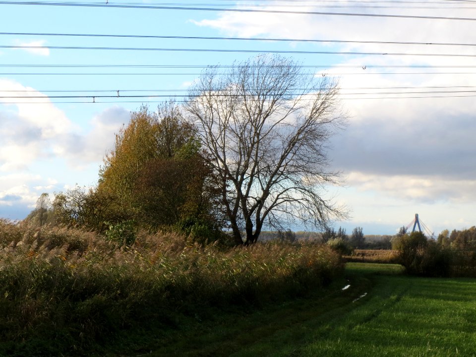 20131103Hockenheimer_Rheinbogen3