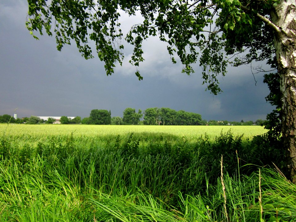 20130625Regen_Hockenheimer_Rheinbogen1
