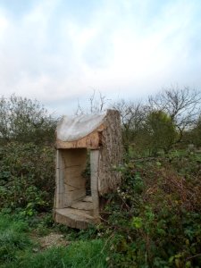20131124Holzskulptur_Rhein3