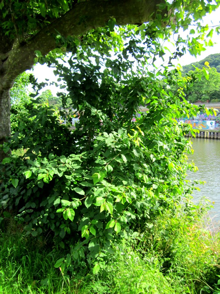 20130702Staden